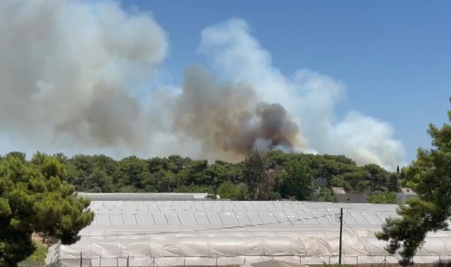 Antalya'da orman yangını