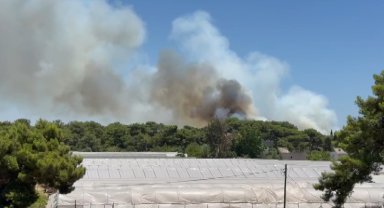 Antalya'da orman yangını