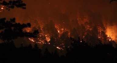 Antalya'da rekor sıcaklıkta 'orman yangını fırtınası'