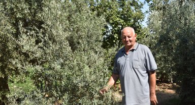 Bahçe sulama suyu kesilen emekli öğretmen, ağaçlarının kurumasından korkuyor