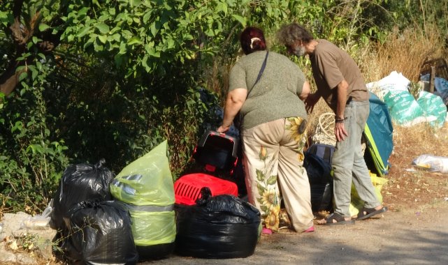 Boşaltılan evde hasta 5 kedi daha kurtarıldı