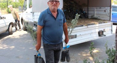 Büyükşehirden zeytin seferberliği