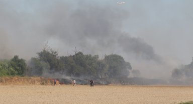 Çalılık alanda başlayan yangın mısır tarlasına ulaşmadan söndürüldü
