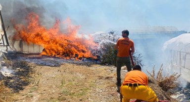 Çalılıktaki yangın seraya sıçradı