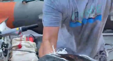 Çuvala dolanan caretta carettayı kurtardı