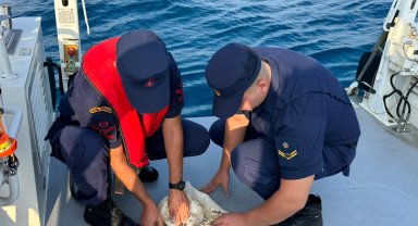 Çuvala dolanmış deniz kaplumbağasını Sahil Güvenlik kurtardı