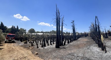 Kırsal alandaki yangın büyümeden söndürüldü