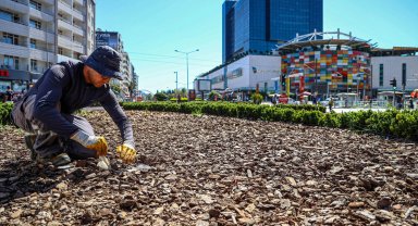 Kurakçıl peyzaj çalışmalarıyla su ve enerji tasarrufu sağlanıyor