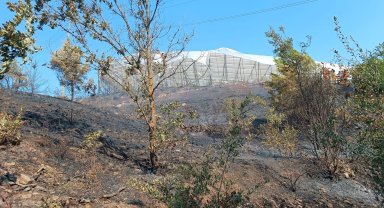 Makilik yangınları büyümeden söndürüldü