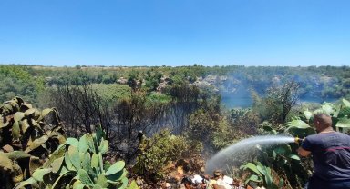 Ot ve çalılık yangınını itfaiye söndürdü