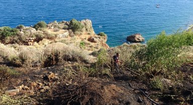 Varyanttaki otluk alanda çıkan yangın korkuttu