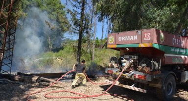 Yangın ormana sıçramadan söndürüldü