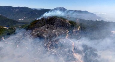 Yangın sadece ormanı değil, sağlığı da yakıyor