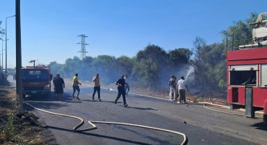 Yol kenarındaki ağaçlıkta çıkan yangın söndürüldü