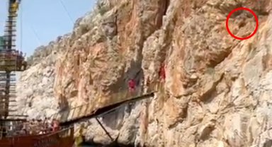 3 gündür kayalıkta mahsur olan keçiyi tekneciler kurtardı