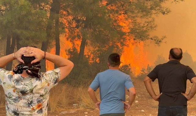 6 aydaki 118 orman yangınında, 540.2 hektar alan zarar gördü