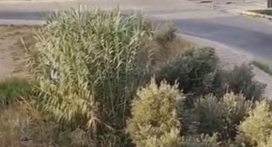 Drift yapan 3 sürücüye 166 bin TL ceza