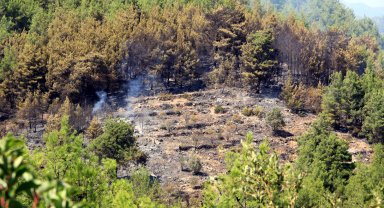Gündoğmuş'taki orman yangını kontrol altında