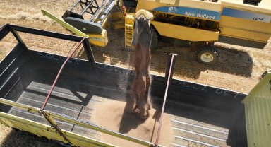 Halkın toprağından halkın sofrasına halk ekmek