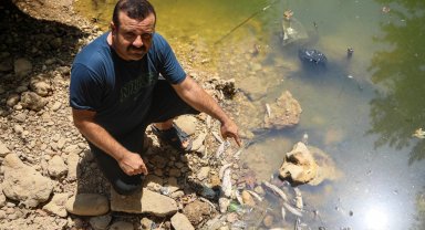 Su seviyesi düşen deredeki endemik yüzlerce balık öldü