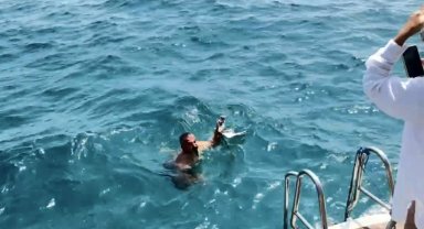 Yaralı martıyı tekne kaptanı kurtardı