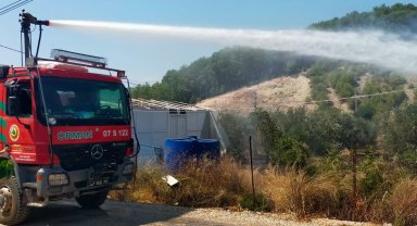 Zeytin bahçesi yangında zarar gördü