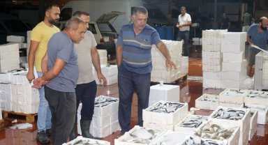 Akdeniz'de av yasağı kalktı; 1 kilo fiyatına 1 kasa balık