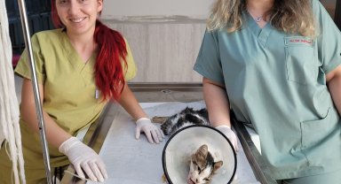 Alanya Belediyesi'nden başarılı çene ameliyatı