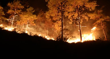 Alanya'daki orman yangınında 3'üncü gün