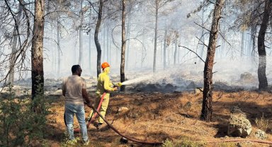 Antalya'da orman yangını, hızlı müdahale ile büyümeden kontrol altına alındı