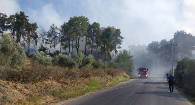 Antalya'da orman yangını