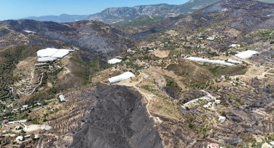 Antalya'daki orman yangınlarında 1350 hektar alan zarar gördü