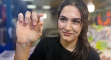 Balık 650, başındaki taş 10 bin lira