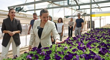 Başkan Vekili Özdemir bitki üretim tesisini gezdi
