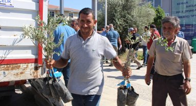 Büyükşehir'den Gazipaşa'da 83 kişiye 1660 fidan desteği