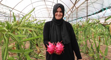 Elde kalan ürünler kurutma tesisinde değer kazanıyor