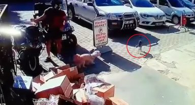 Kediyi tekmeleyen şüpheliye gözaltı