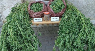 Korkuteli'de uyuşturucu operasyonu