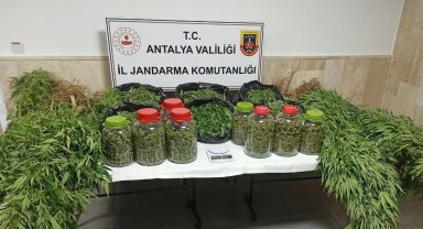 Korkuteli'nde 43 kilo uyuşturucu ele geçirildi