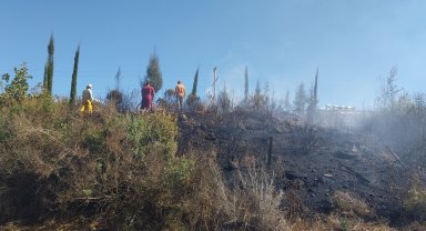 Manavgat'ta orman yangını söndürüldü