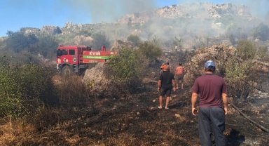 Serik'te makilik ve zeytinlik yangını