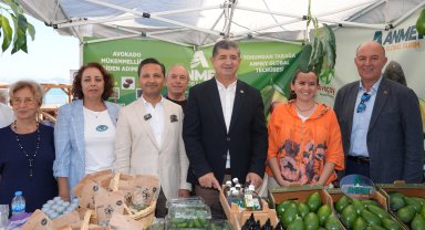 Alanya Tropikal Meyve Festivali başladı