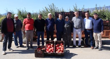 Kaymakam Çakıcı nar hasadına katıldı