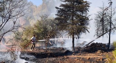 Otluk alanda çıkan yangın söndürüldü