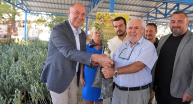 Yangında zarar gören bahçe sahiplerine zeytin fidanı