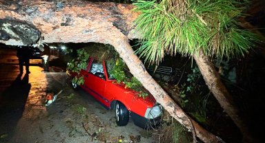 Antalya'da şiddetli yağış ağacı devirdi, 2 araç zarar gördü