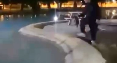 Sokak kedisini defalarca süs havuzuna attılar