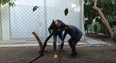 Alacak verecek tartışmasında 1 yaralı