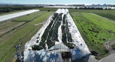 Büyükşehir Belediyesi seraları zarar gören çiftçinin yanında