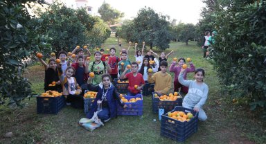 Dokumapark'tan toplanan portakallar ilçe halkıyla paylaşıldı